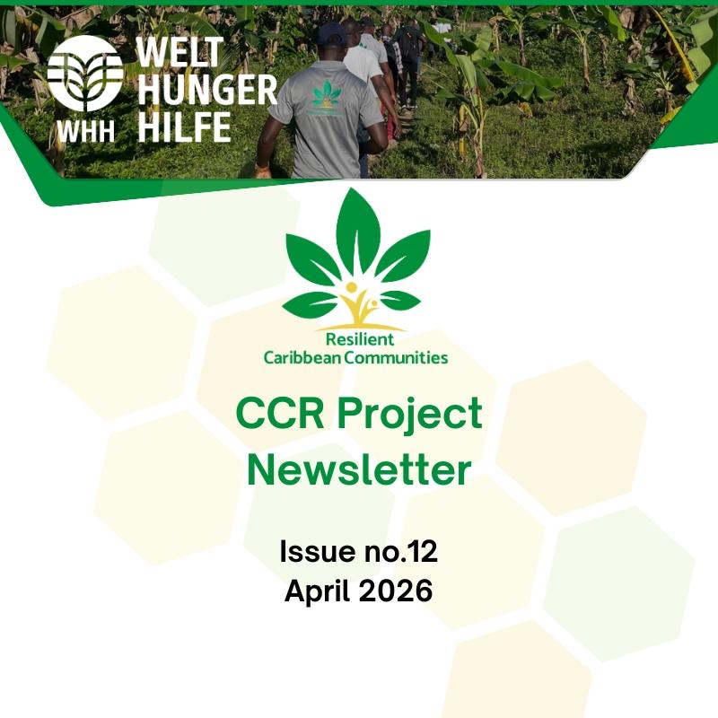 Publication Image