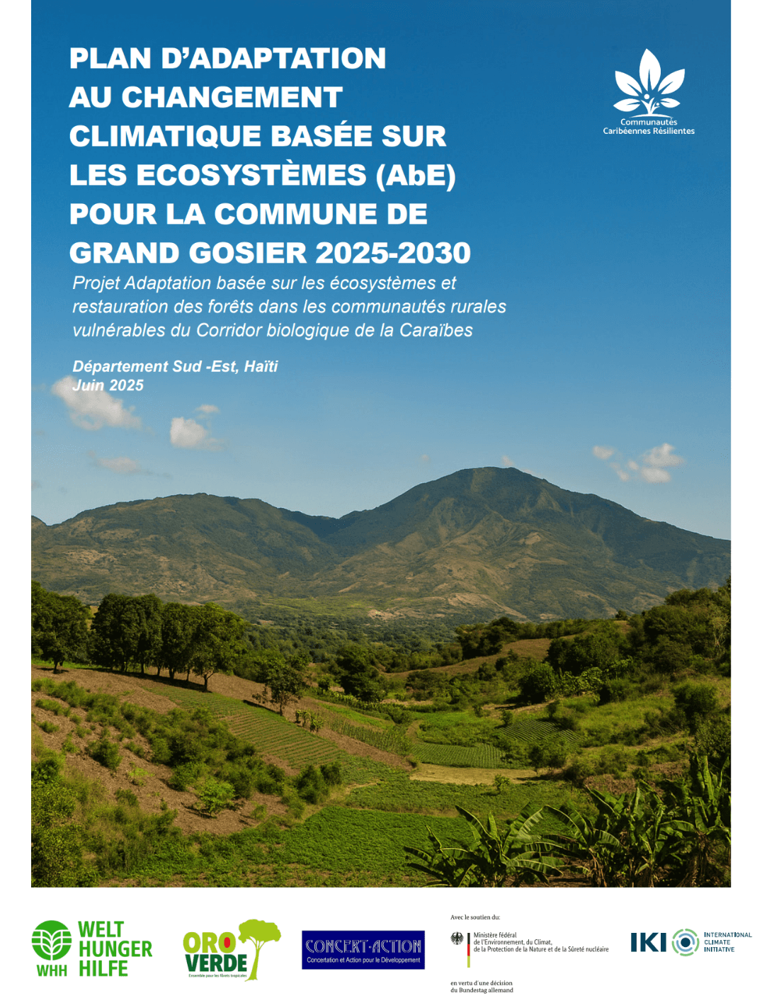 Publication Image